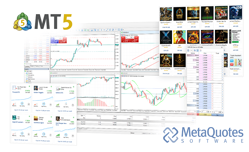 MetaTrader 5 macOS 外汇交易 终端安装